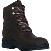 Ariat Stallschuhe Harper Waterproof Damen Chocolat/Willow Ariat Stallschuhe Harper Waterproof Damen Chocolat/Willow