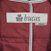 Bucas Atlantic Medium Exclusive Wine Bucas Atlantic Medium Exclusive Wine