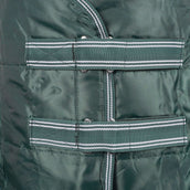 Waldhausen Stalldecke Economic 100g Tannengrün Waldhausen Stalldecke Economic 100g Tannengrün