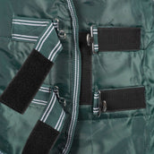 Waldhausen Stalldecke Economic 100g Tannengrün Waldhausen Stalldecke Economic 100g Tannengrün