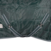 Waldhausen Stalldecke Economic 100g Tannengrün Waldhausen Stalldecke Economic 100g Tannengrün