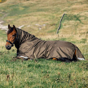 LeMieux Outdoordecke Arika 600D 100g Alpine LeMieux Outdoordecke Arika 600D 100g Alpine