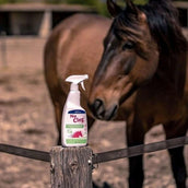 NoCleg Spray NoCleg Spray