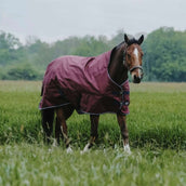 EQUITHÈME Outdoordecke Tyrex 1200D 0g High Neck Burgunderrot EQUITHÈME Outdoordecke Tyrex 1200D 0g High Neck Burgunderrot