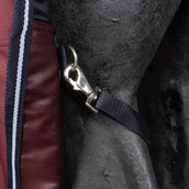 EQUITHÈME Outdoordecke Tyrex 1200D 0g High Neck Burgunderrot EQUITHÈME Outdoordecke Tyrex 1200D 0g High Neck Burgunderrot