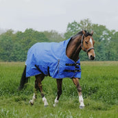 EQUITHÈME Outdoordecke Tyrex 1200D 150g Aisance High Neck Royal Blue EQUITHÈME Outdoordecke Tyrex 1200D 150g Aisance High Neck Royal Blue