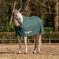 Agradi Horse Fleecedecke Economic Fir Green Agradi Horse Fleecedecke Economic Fir Green