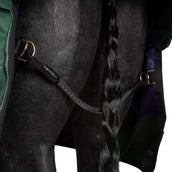 Agradi by Bucas Turnout Rug 0g Grün/Schwarz Agradi by Bucas Turnout Rug 0g Grün/Schwarz