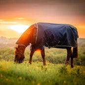 Amigo Ripstop 900D Plus Pony 100g Witney Navy Amigo Ripstop 900D Plus Pony 100g Witney Navy