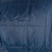 Amigo Turnout Rug FieldSafe Plus 1200D 50g Navy/Titanium Grey/Silver Amigo Turnout Rug FieldSafe Plus 1200D 50g Navy/Titanium Grey/Silver