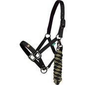 Amigo Halfter & Strick Newmarket Witney Gold Amigo Halfter & Strick Newmarket Witney Gold