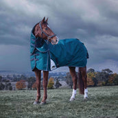 WeatherBeeta ComFiTec Plus Dynamic Turnout Detach-A-Neck 220g Forest Green/Navy WeatherBeeta ComFiTec Plus Dynamic Turnout Detach-A-Neck 220g Forest Green/Navy