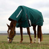 WeatherBeeta ComFiTec Plus Dynamic Turnout Detach-A-Neck 100g Forest Green/Navy WeatherBeeta ComFiTec Plus Dynamic Turnout Detach-A-Neck 100g Forest Green/Navy