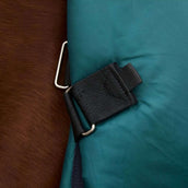 WeatherBeeta ComFiTec Plus Dynamic Turnout Detach-A-Neck 220g Forest Green/Navy WeatherBeeta ComFiTec Plus Dynamic Turnout Detach-A-Neck 220g Forest Green/Navy