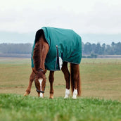 WeatherBeeta ComFiTec Plus Dynamic Turnout High Neck 220g Forest Green/Navy WeatherBeeta ComFiTec Plus Dynamic Turnout High Neck 220g Forest Green/Navy