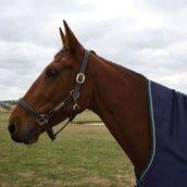 WeatherBeeta ComFiTec Plus Dynamic Turnout High Neck 220g Navy/Forest Green WeatherBeeta ComFiTec Plus Dynamic Turnout High Neck 220g Navy/Forest Green