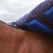 WeatherBeeta ComFiTec Plus Dynamic Turnout High Neck 220g Navy/Forest Green WeatherBeeta ComFiTec Plus Dynamic Turnout High Neck 220g Navy/Forest Green