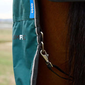 WeatherBeeta ComFiTec Classic Turnout Combo 360g Forest Green/Black WeatherBeeta ComFiTec Classic Turnout Combo 360g Forest Green/Black