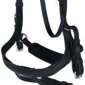 Kavalkade Zaum Caliano Via Schwarz/Silber Kavalkade Zaum Caliano Via Schwarz/Silber