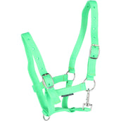 Harry's Horse Fohlenhalfter Limette Harry's Horse Fohlenhalfter Limette