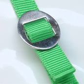 HKM Halfter Stars Economy Hellgrün HKM Halfter Stars Economy Hellgrün