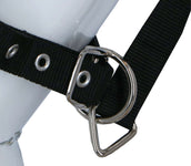 HKM Fliegenmaskenhalfter Schwarz HKM Fliegenmaskenhalfter Schwarz