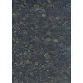 Vanilia Island Seealge Vanilia Island Seealge