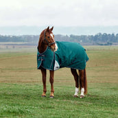 WeatherBeeta ComFiTec Plus Dynamic Turnout 220g Forest Green/Navy WeatherBeeta ComFiTec Plus Dynamic Turnout 220g Forest Green/Navy