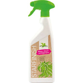 Bense & Eicke Glanzspray StarFinish Bense & Eicke Glanzspray StarFinish