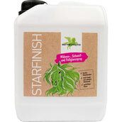 Bense & Eicke Glanzspray StarFinish Bense & Eicke Glanzspray StarFinish