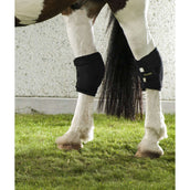 Back on Track Sprunggelenkschoner Rechts Schwarz Back on Track Sprunggelenkschoner Rechts Schwarz