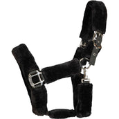 Back on Track Halfter Audrey Schwarz Back on Track Halfter Audrey Schwarz