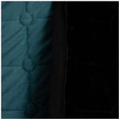 BR Showdecke CLX Sea Spine BR Showdecke CLX Sea Spine