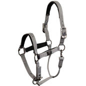 BR Halfter CLX Chiseled Stone BR Halfter CLX Chiseled Stone