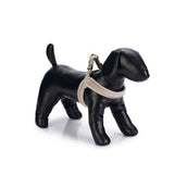 Designed by Lotte Hundegeschirr Velura Samt Grau Designed by Lotte Hundegeschirr Velura Samt Grau