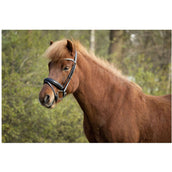 BR Zaum Barnet Schwarz/Silber BR Zaum Barnet Schwarz/Silber