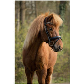 BR Zaum Barnet Schwarz/Silber BR Zaum Barnet Schwarz/Silber