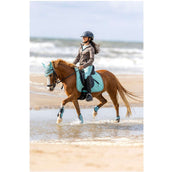 BR Streichkappen Eevolv Elay Canton BR Streichkappen Eevolv Elay Canton