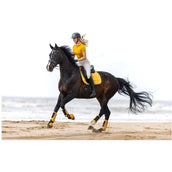 BR Hufglocken Edgar No-Turn Harvest Gold BR Hufglocken Edgar No-Turn Harvest Gold