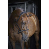 Catago Lederhalfter Schwarz Catago Lederhalfter Schwarz