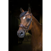 Eric Thomas Trense Pro Design Havanna Eric Thomas Trense Pro Design Havanna