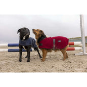 Diego & Louna Hundedecke Polar Navy Diego & Louna Hundedecke Polar Navy
