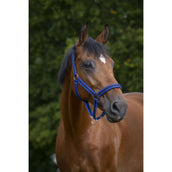 Norton Halfter mit Neopren Ausgekleidet Königsblau/Schwarz Norton Halfter mit Neopren Ausgekleidet Königsblau/Schwarz