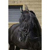 Riding World Trense mit Kombiniertem Nasenriemen Havanna Riding World Trense mit Kombiniertem Nasenriemen Havanna