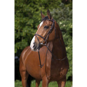 Riding World Trense mit Kombiniertem Nasenriemen Havanna Riding World Trense mit Kombiniertem Nasenriemen Havanna