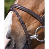 Riding World Trense mit Kombiniertem Nasenriemen Havanna Riding World Trense mit Kombiniertem Nasenriemen Havanna