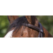Riding World Trense mit Kombiniertem Nasenriemen Havanna Riding World Trense mit Kombiniertem Nasenriemen Havanna