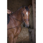 Norton Ausbindezügel Pro Kurz Elastisch mit Riemenscheiben Havanna Norton Ausbindezügel Pro Kurz Elastisch mit Riemenscheiben Havanna