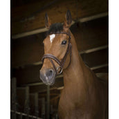 Norton Trense Pro Rock Schwarz Norton Trense Pro Rock Schwarz