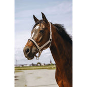 EQUITHÈME Halfter Jacquard Taupe EQUITHÈME Halfter Jacquard Taupe